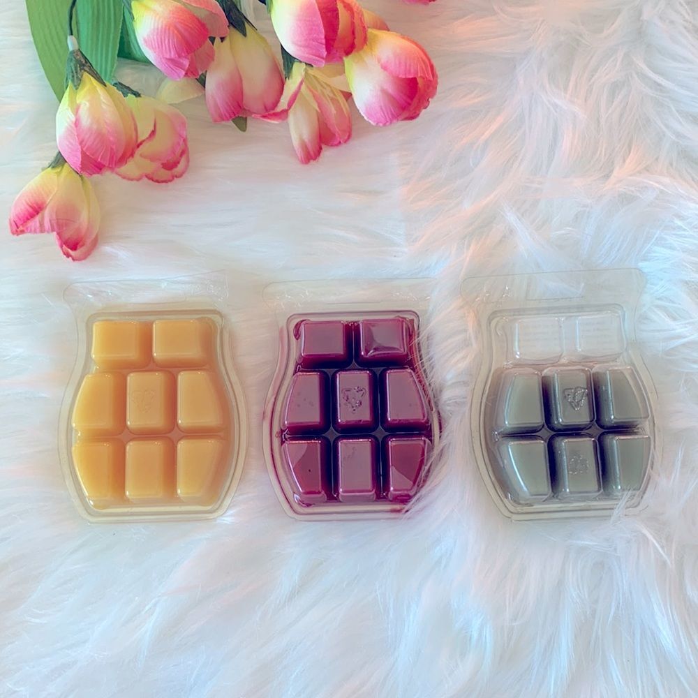 SCENTSY BARS